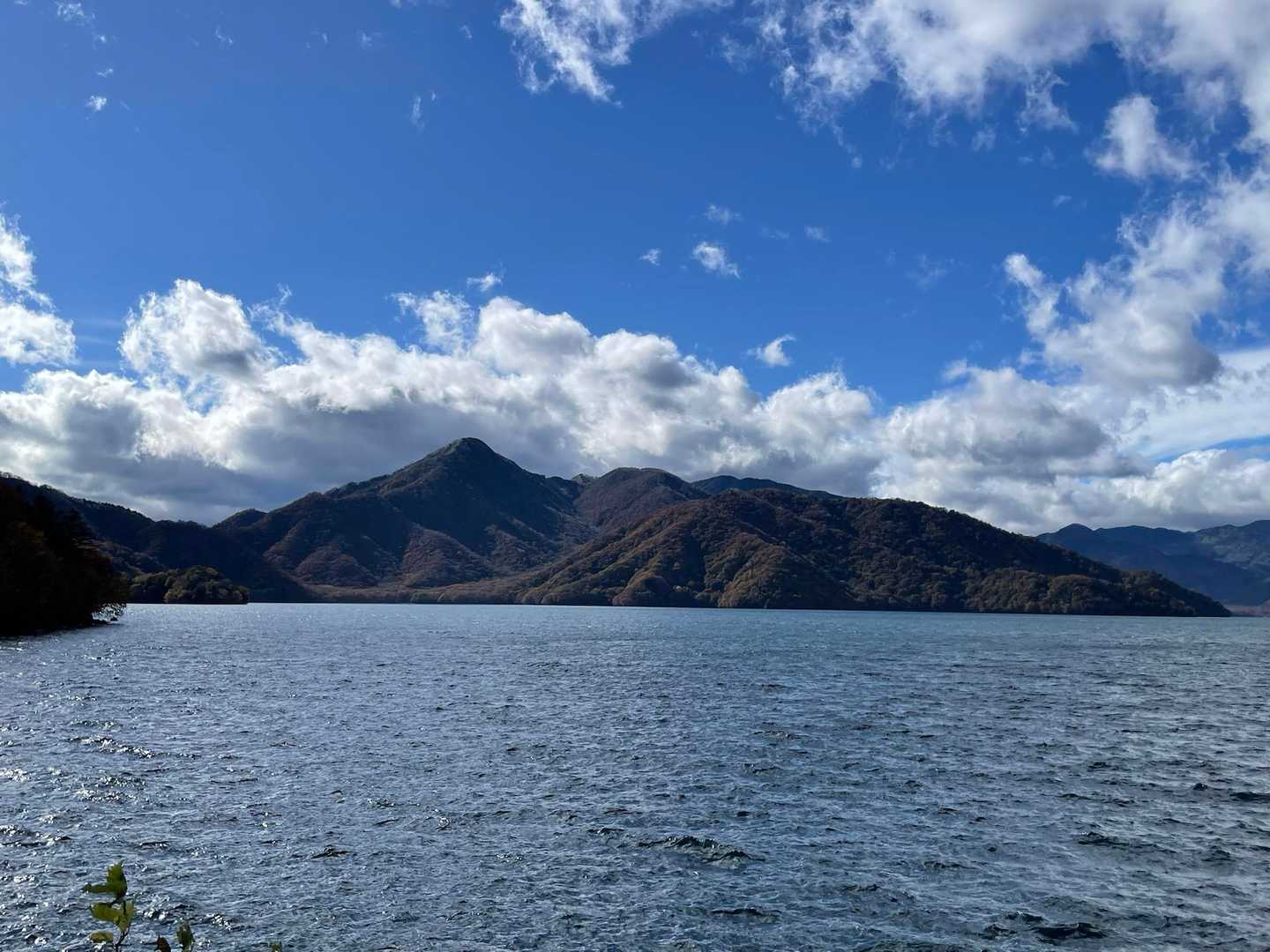 半月峠-半月山 往復コースの写真