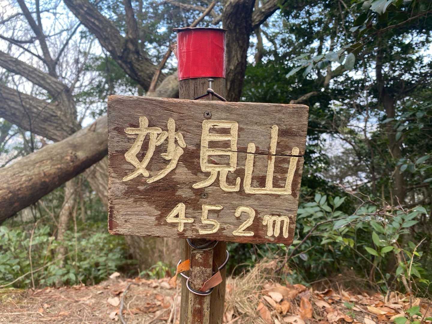 油山往復 | 福岡市街を見渡す定番ルートの写真