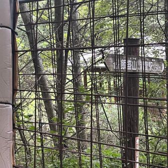 鹿防護柵を越える。