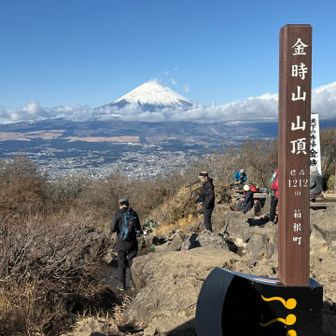 登ってよかったー