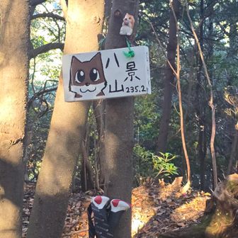 おつかれ山～⛰️