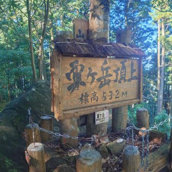 さんちょ