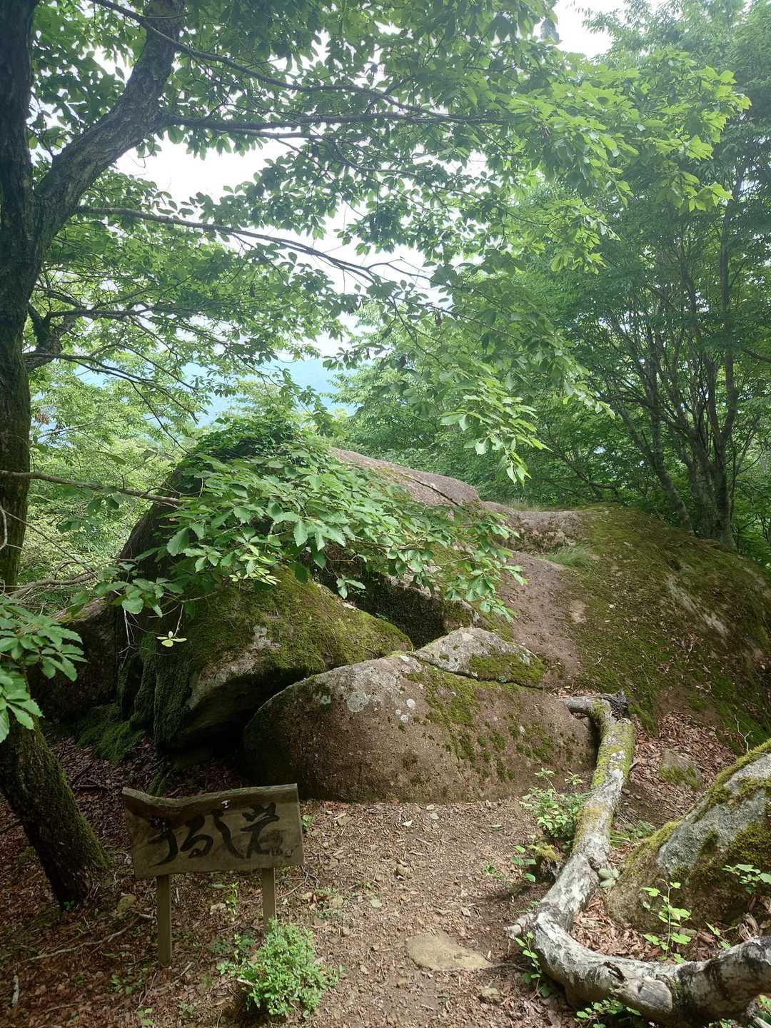 うるし岩🪨
