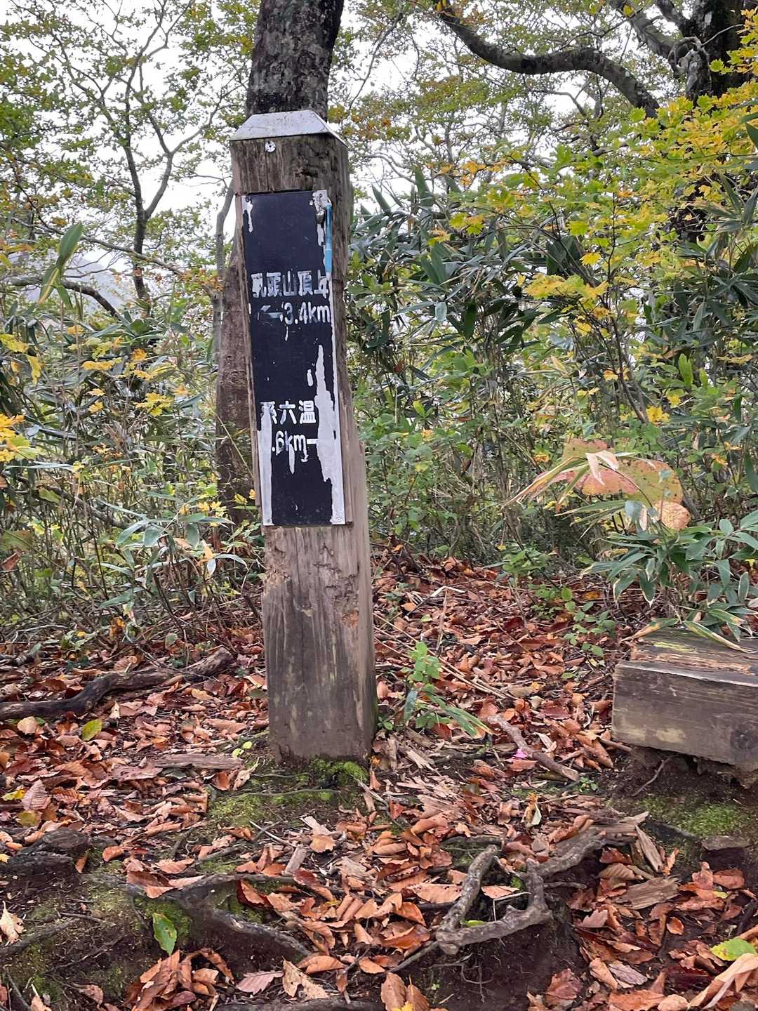 ここで休憩してたらソロの女性にも追い越された