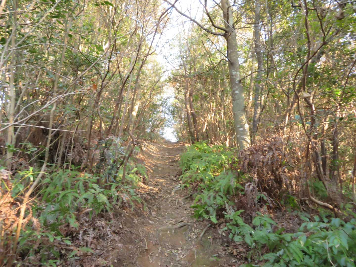 登山口で気付いたのですが･･･