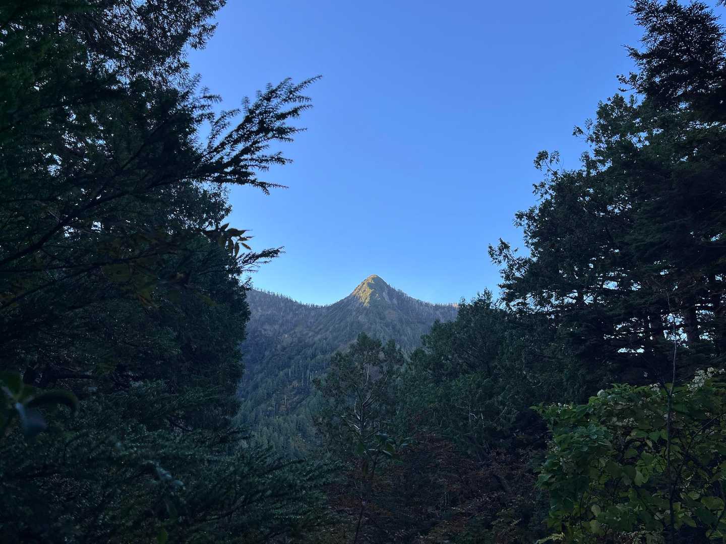 あ！佐武流山

ってずっと思ってたけど違ってた