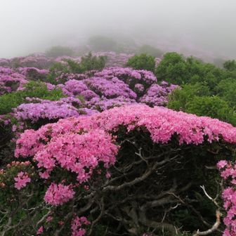 讃岐の國の空海ちゃん