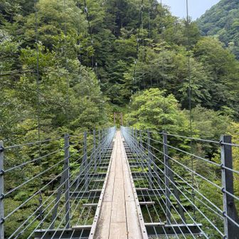 結構揺れます。踏み板がたわんで端のクギが抜けそうです。

中央の板と左右どちらかの板を一緒に踏むと構造的に丈夫なのでオススメ