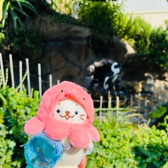 しろ