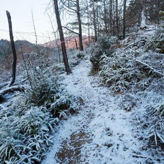 思いもよらなかった雪道