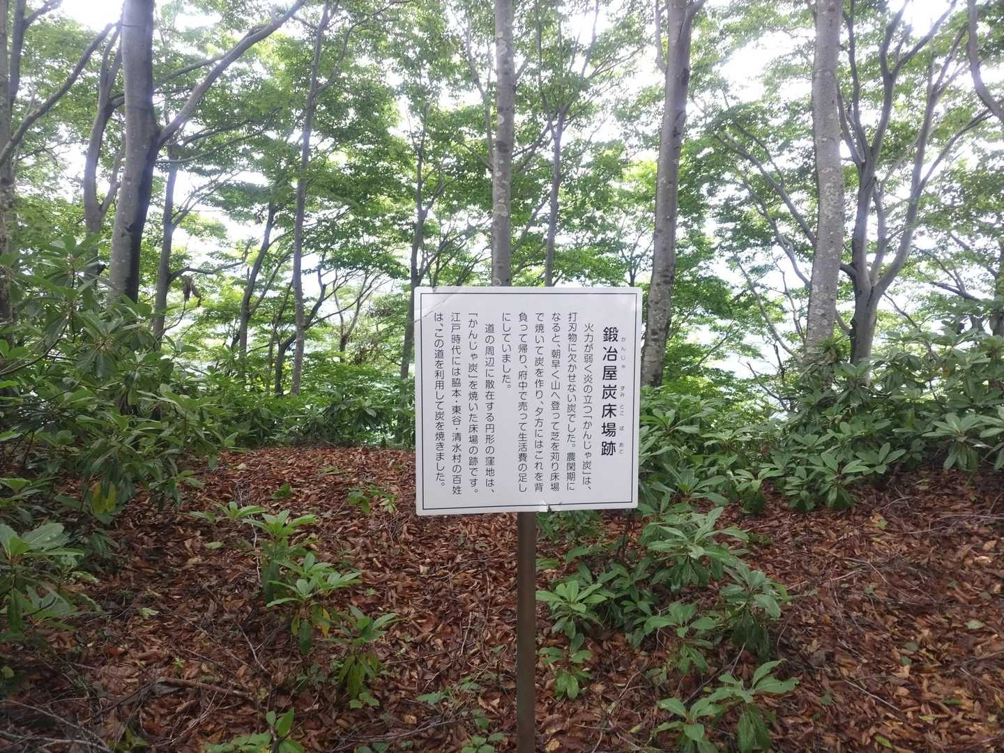 炭焼き跡