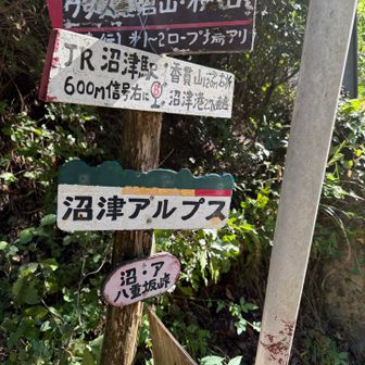 八重坂峠
ここから少しだけロードです。
友達が少し離れたところに自動販売機見つけてくれて三ツ矢サイダーを購入。
私も半分以上いただき生き返る🤣