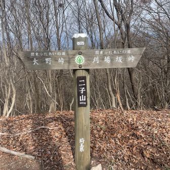 標柱が立派になったらしい