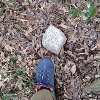 臥竜山に登頂 ＼(^o^)／ 三角点　欠けている。
頂上からの眺望は木立に囲まれていて、残念 (-_-)
近くの大岩からは絶景です✨️