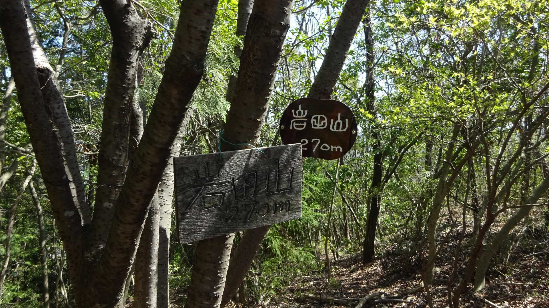 と～うちゃこ☺✌
岩田山(270m)