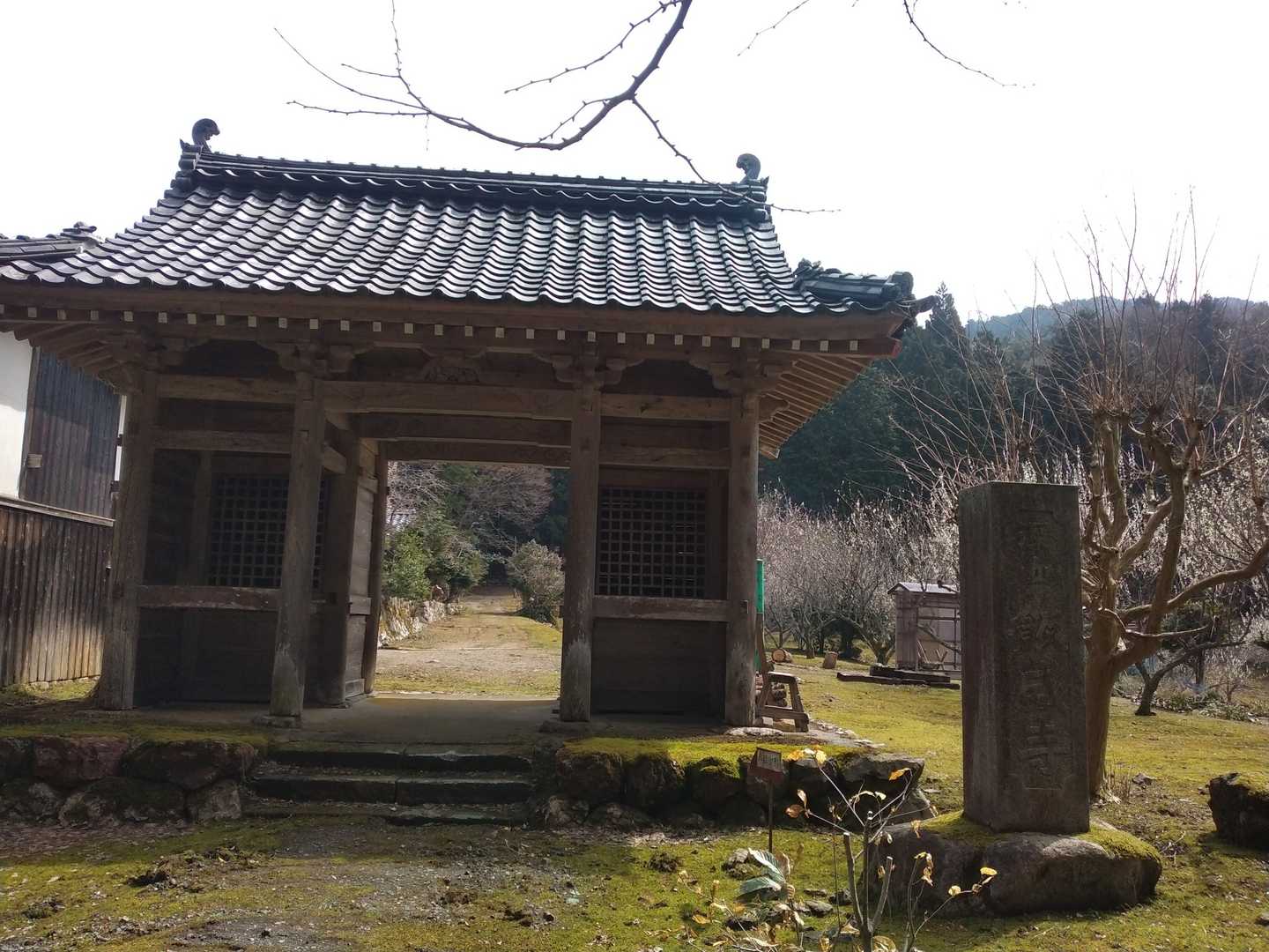飯盛山 往復コースの写真