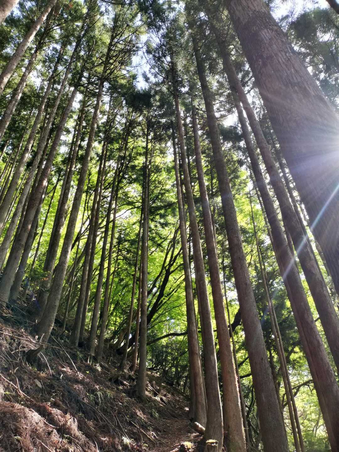晴れてきました☀
