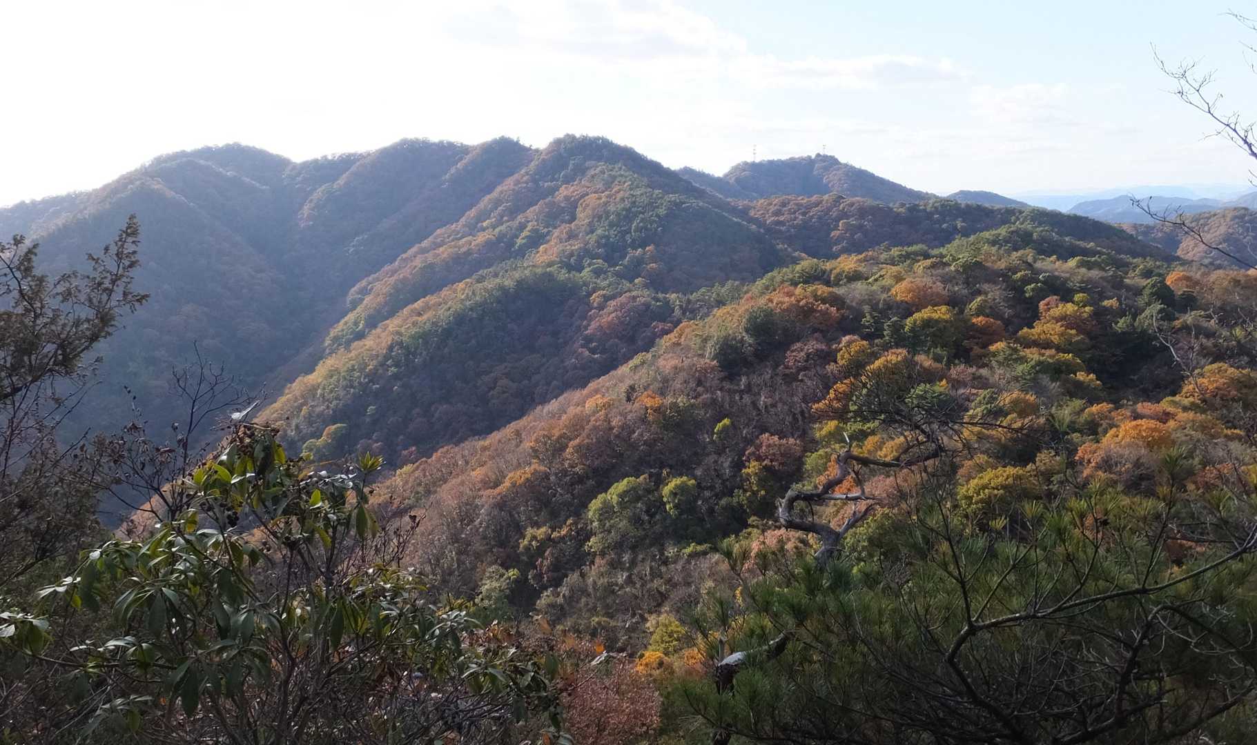 帰りながら　歩きてきたみちをふりかえりました。
左端は　鉢ヶ峰
　日が傾き紅葉の山が美しい