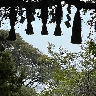 柚木浅間神社の
石鳥居の、
お飾り