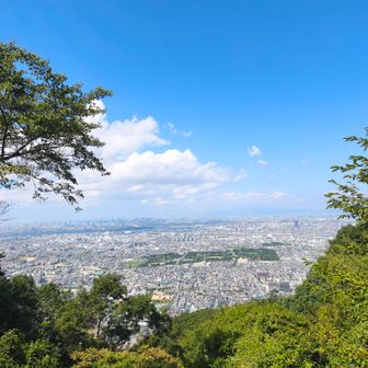 今日も視界良好