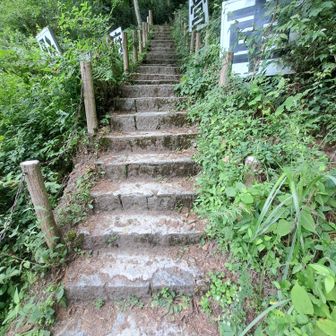 👣下りたら🚗で下山するために上がる💣