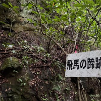 これはどれのこと？
