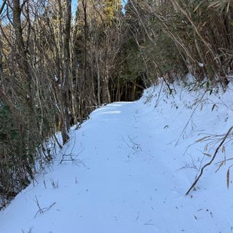 雪がサラサラなのが幸い。