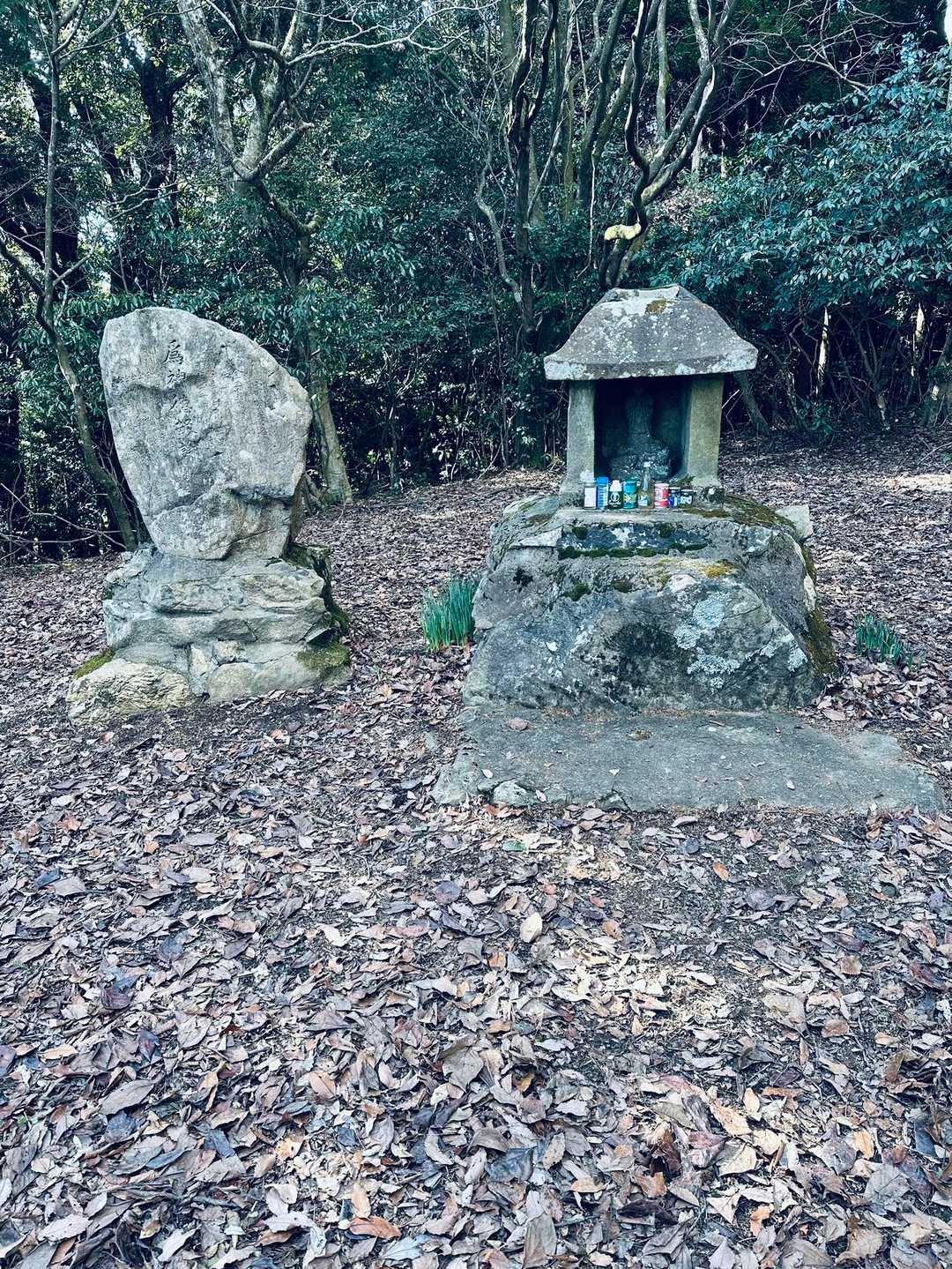 下竜王山-龍王神社-龍王山 往復コースの写真