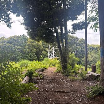 東稲荷山ー。

東ばっかり？