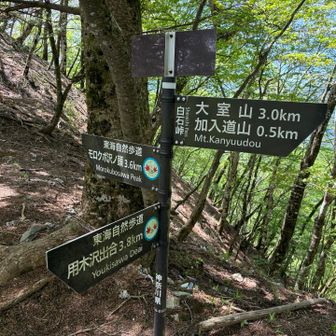 白石峠
ここからもなかなかの斜度と悪路でした