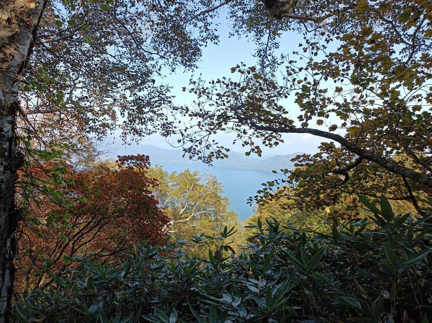 北尾根登山口-風不死岳 往復コースの写真