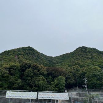 権現山