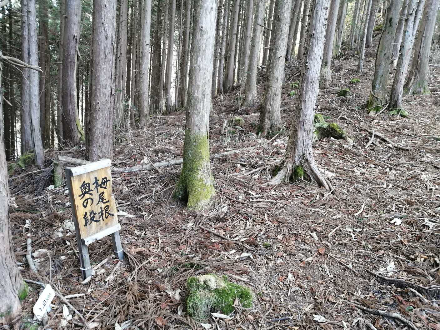 十枚山（十枚山登山口）＜十枚峠＞の写真
