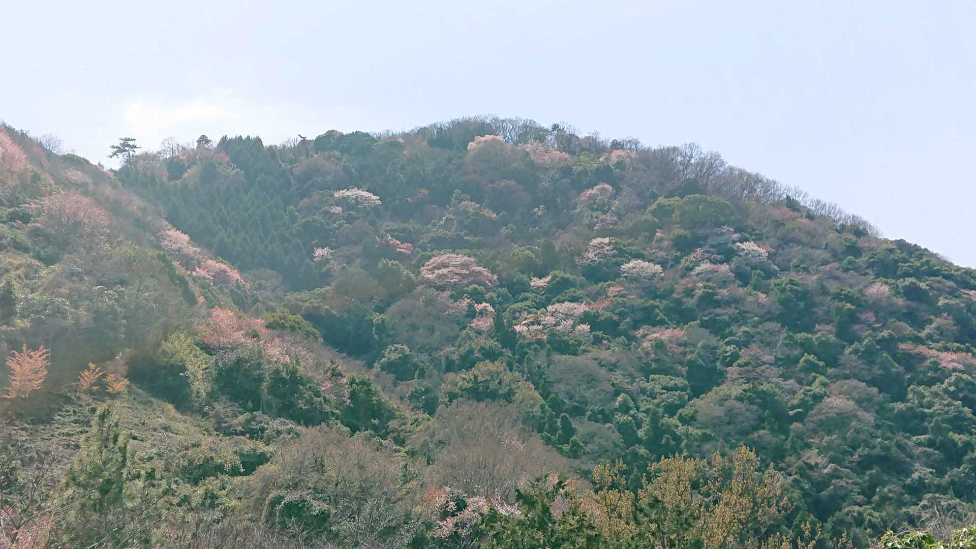 途中の大岩からの眺め