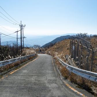 舗装路の先から右に分かれて頭巾山への登山道へ