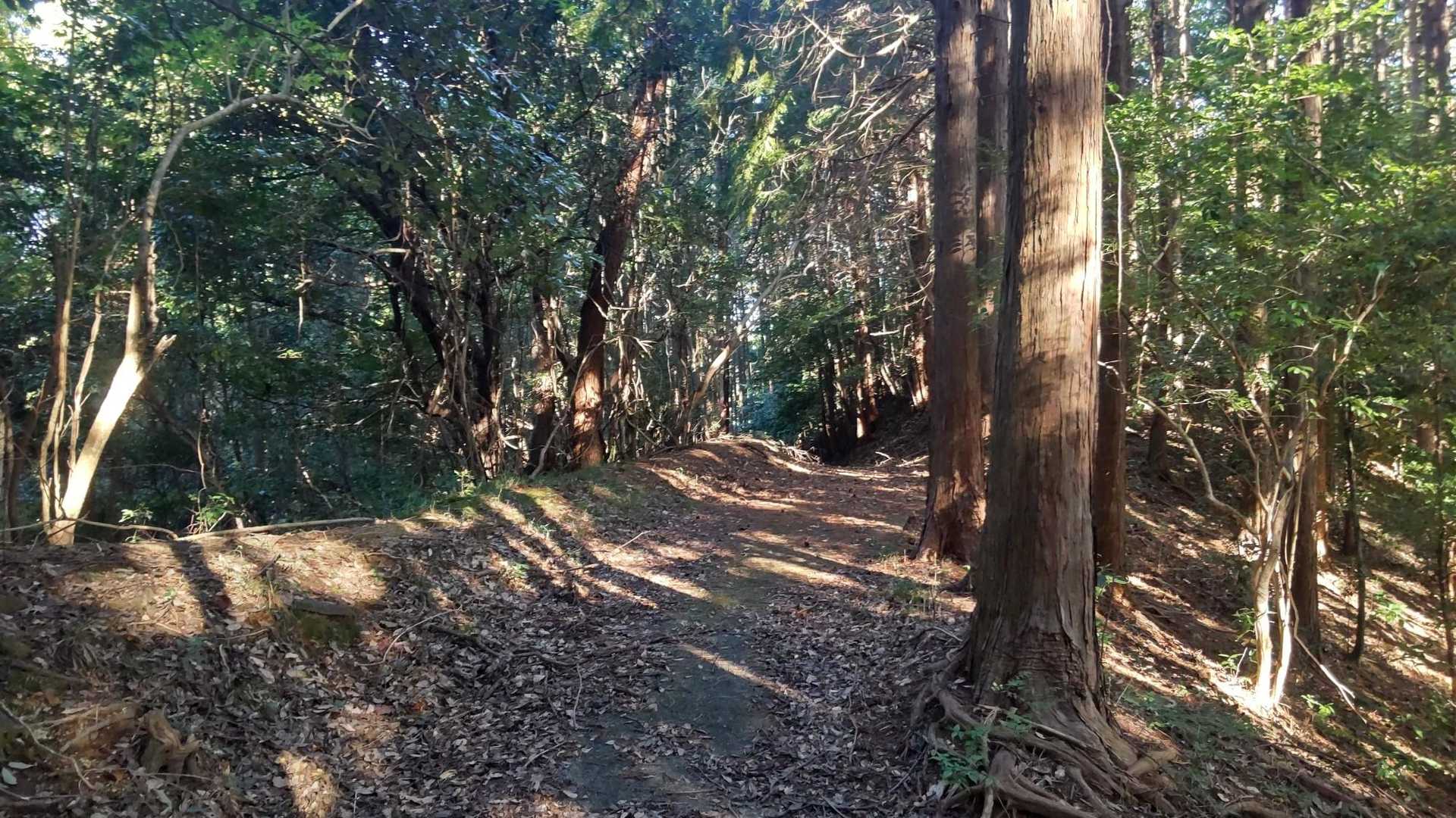 舗装された快適に歩ける道