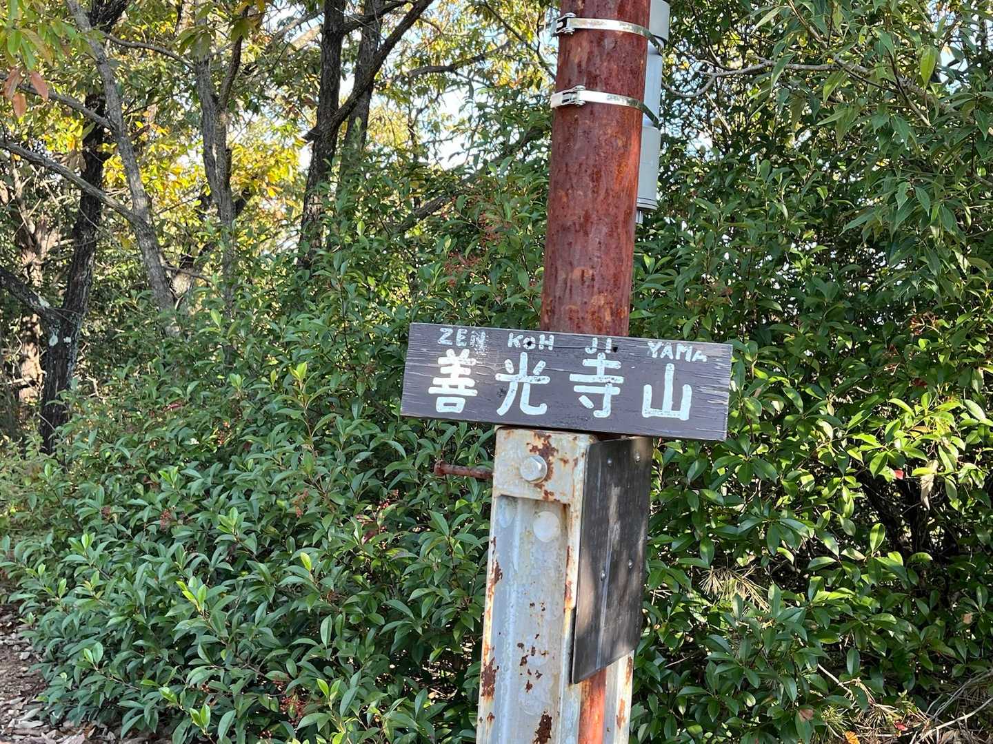 安桜山 往復コースの写真