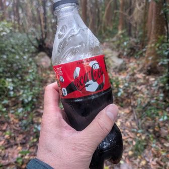 
びしょ濡れの体で、ぺットのコカ・コーラゼロ
