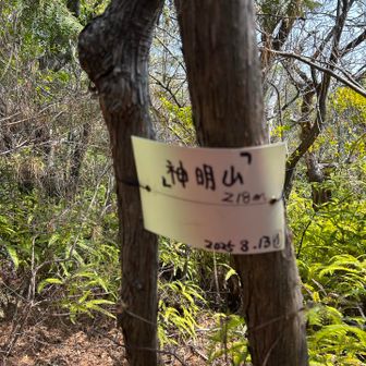 登頂❗️
ブレブレ😱