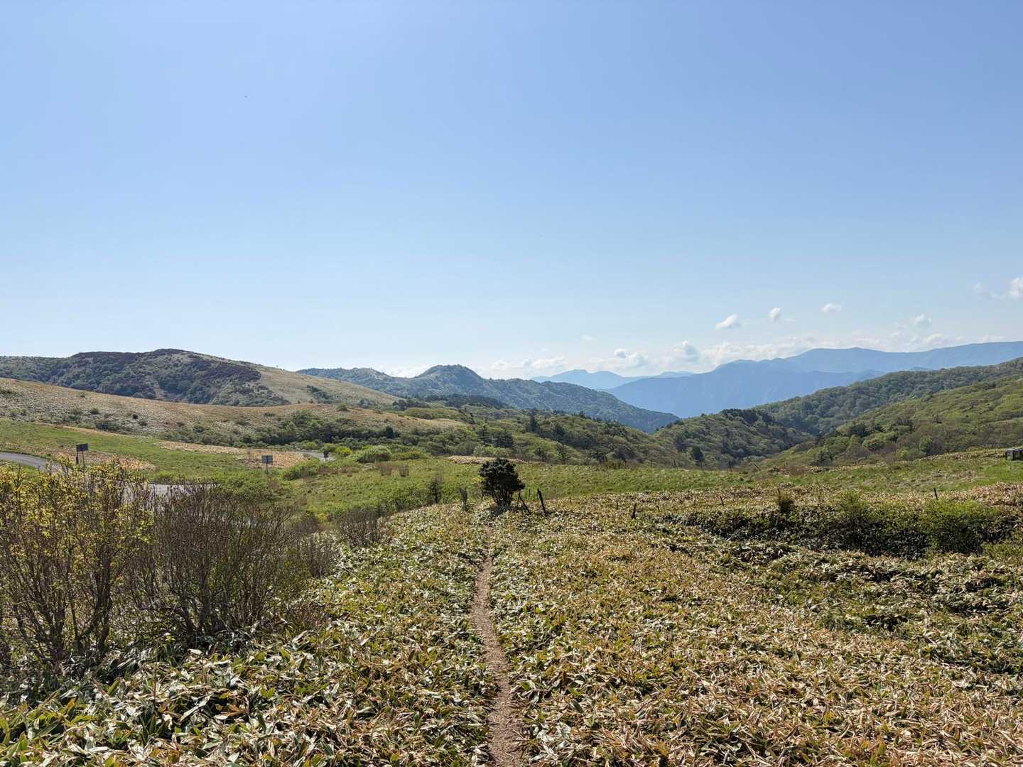 大川嶺分岐点-大川嶺-笠取山 往復コースの写真