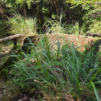 山頂は砲台跡かな？