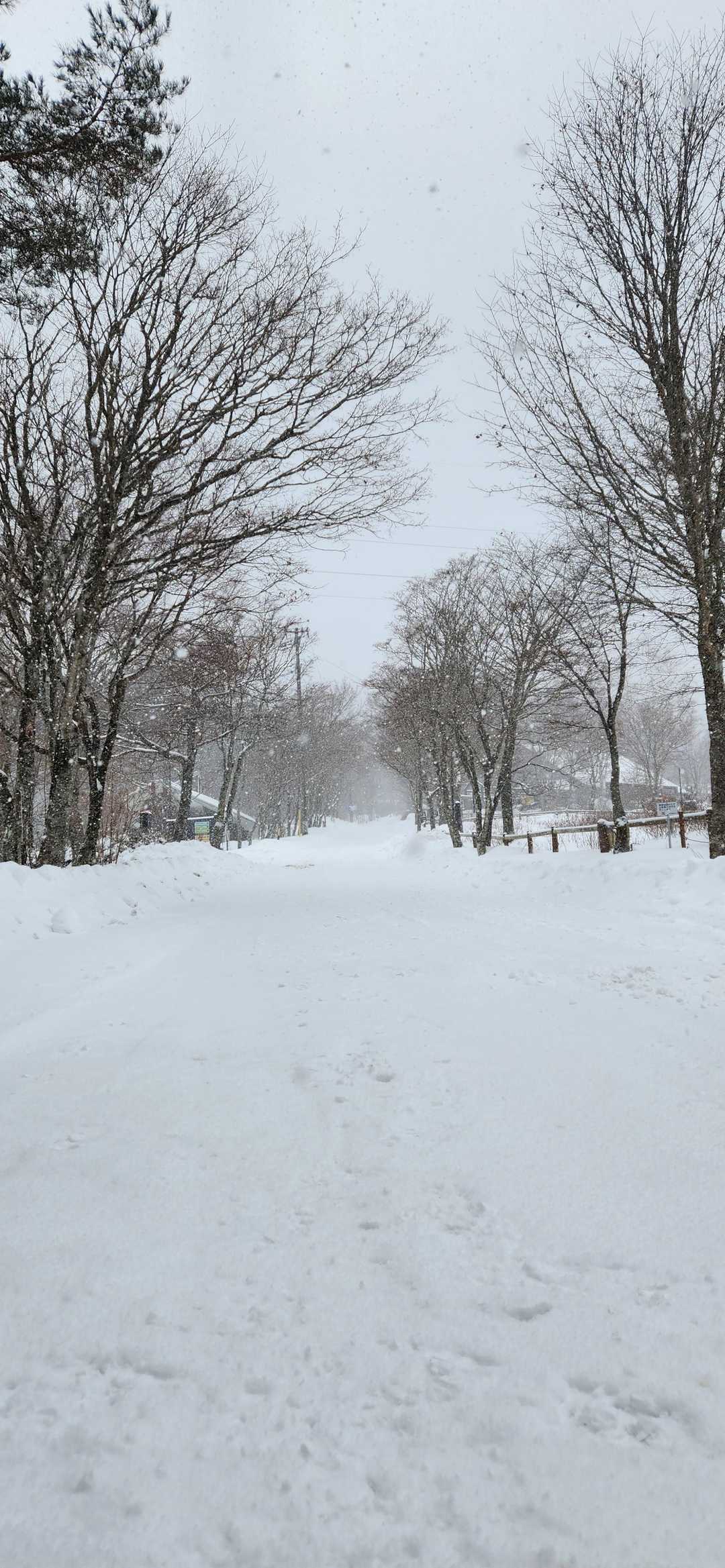 やっぱり雪山はいいなぁ〜📸