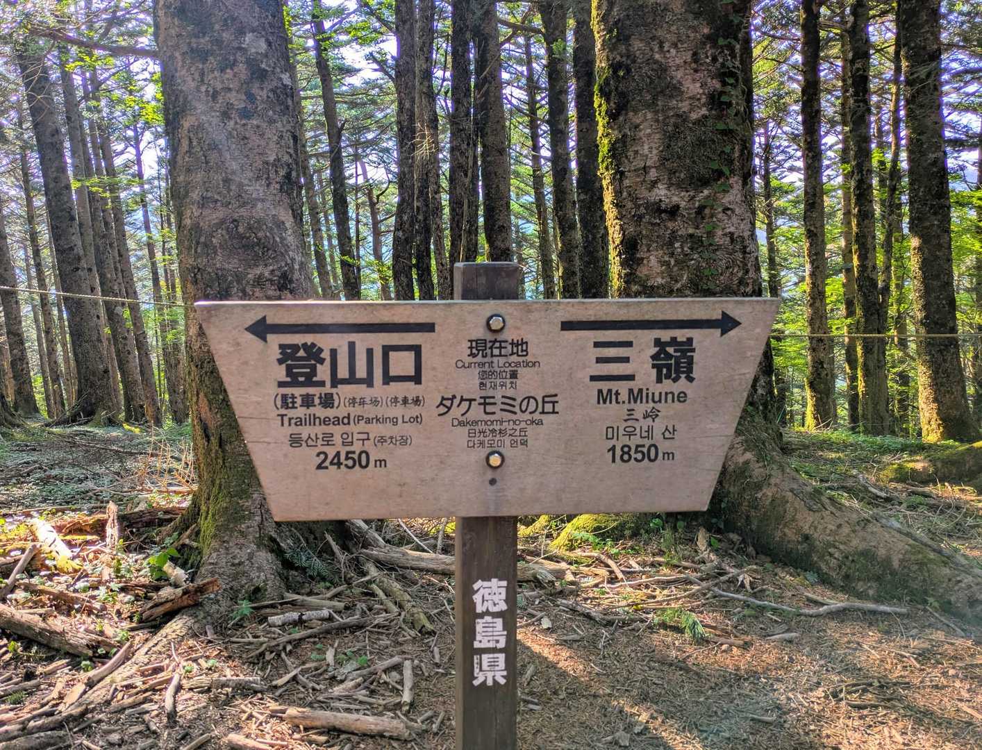 「ダケモミの丘って？」
「ケダモノとは違うよね？🤔」