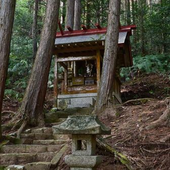 加納山まで30分だが今日はここまでにしておく