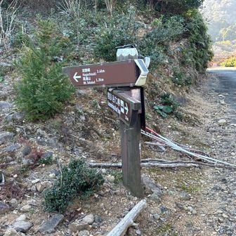 登山道に入ります