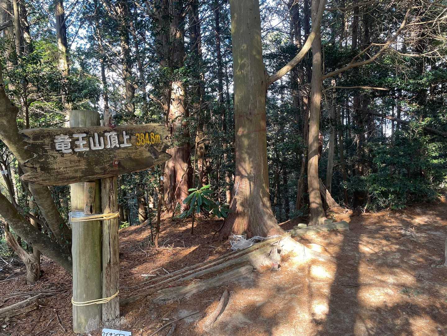 竜王山に登頂！