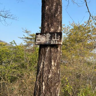 古津山△
