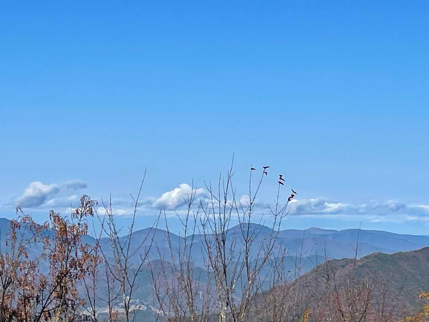 小野寺山からの景色😍