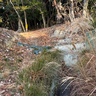 下ってきました
お疲れ様でした

今年、残すところ、明日と明後日のあと２日で、、
何回、ここに来れるかなぁ