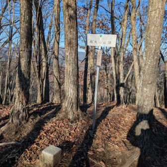 麻生山山頂標識と三角点